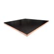 STANDARD hladká překližka Akácie 18x1250x2500
