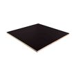 E-FORM hladká překližka Hevea 18x1250x2500